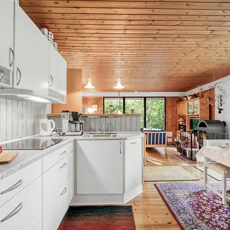 Tenaya - 200m To The Fjord By Interhome Skjern